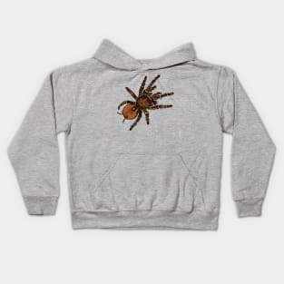 Goliath Bird Eating Spider Kids Hoodie